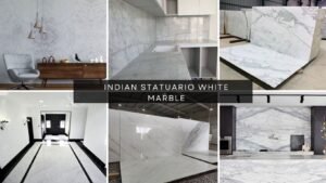 Read more about the article Exploring Indian Statuario White Marble