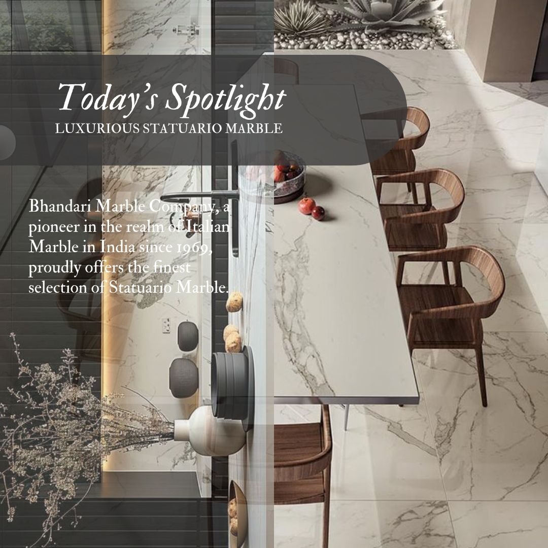Read more about the article Today’s Spotlight: Luxurious Statuario Marble