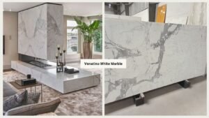 Read more about the article Everything You Need to Know About Venatino White Marble