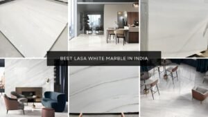 Read more about the article Best Lasa White Marble In India